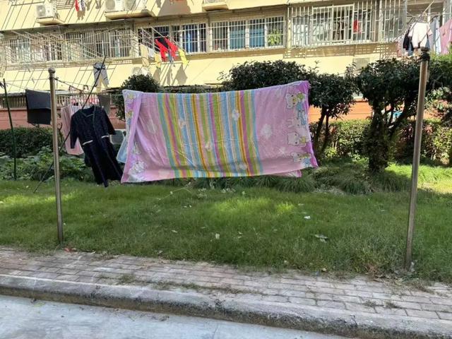 向心力提升居民幸福感马竞合作伙伴文明凝聚(图1)
