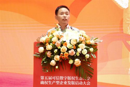 生产型企业发版启动大会 武汉举行第五届可信数字版权生态大会确权(图7)